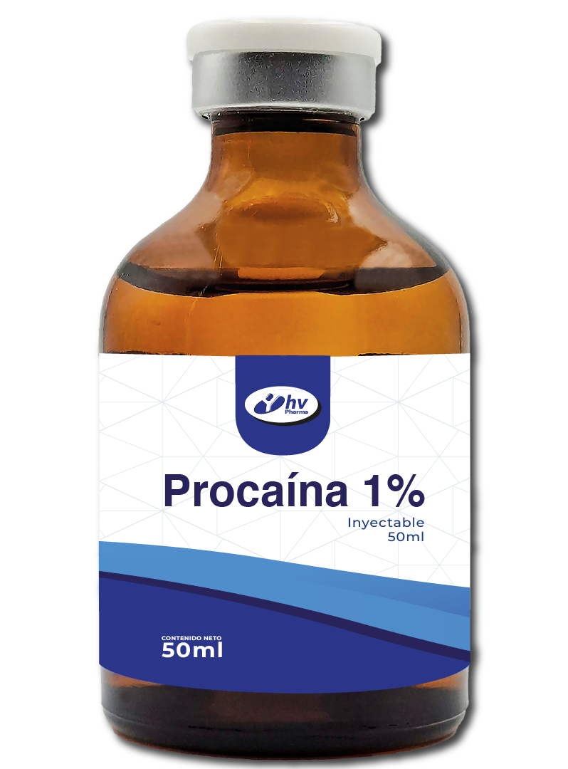 Terapia neural procaina